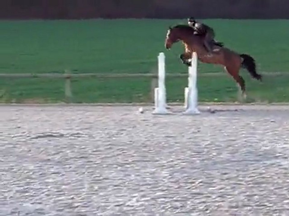 ZAMPA
