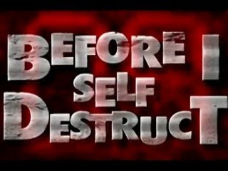 Before I Self Destruct