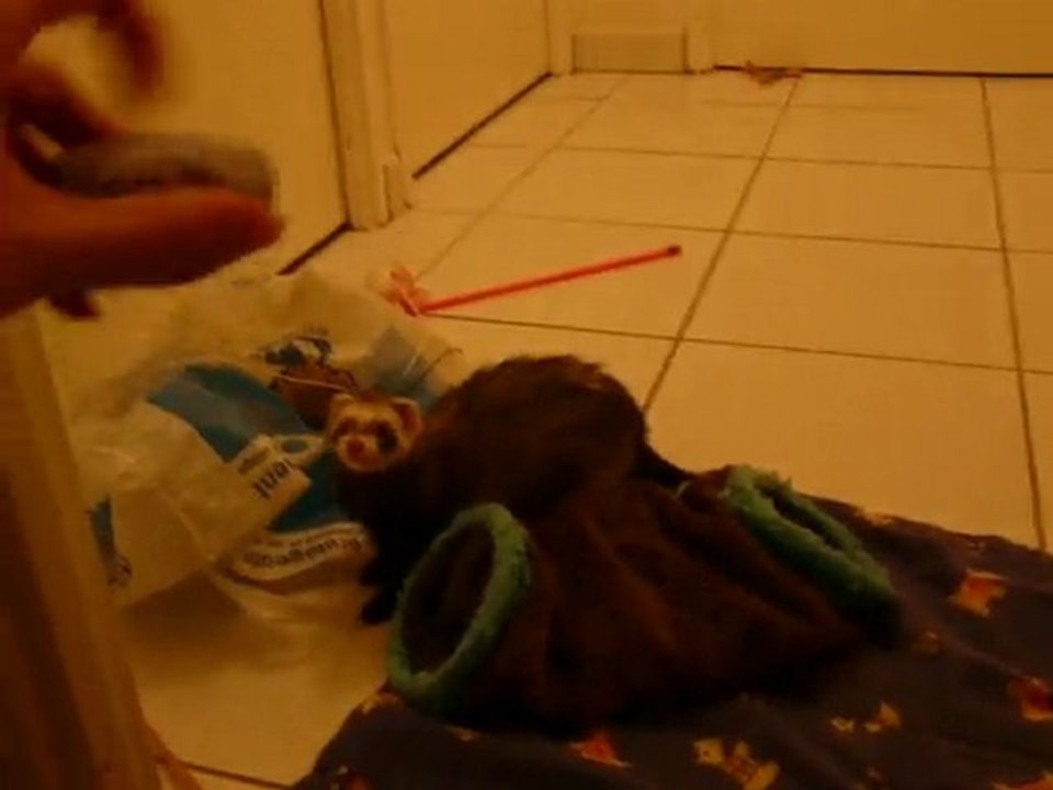 shanna et sa "patate"
