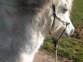 willow beau gosse ^^