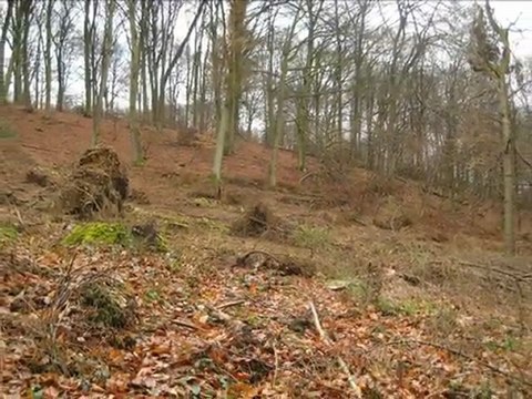 Diaporama de l'année 2009 - 5ème partie