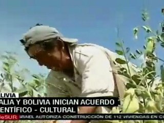 Italia y Bolivia cooperan en ciencia y cultura