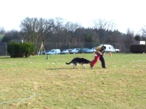 Boomer 1er ring 2 Fuyante