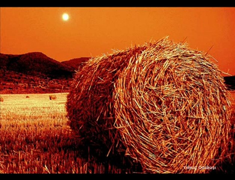 Necip Fazıl Kısakürek'in Kendi Sesinden "Aynalar" Şiiri