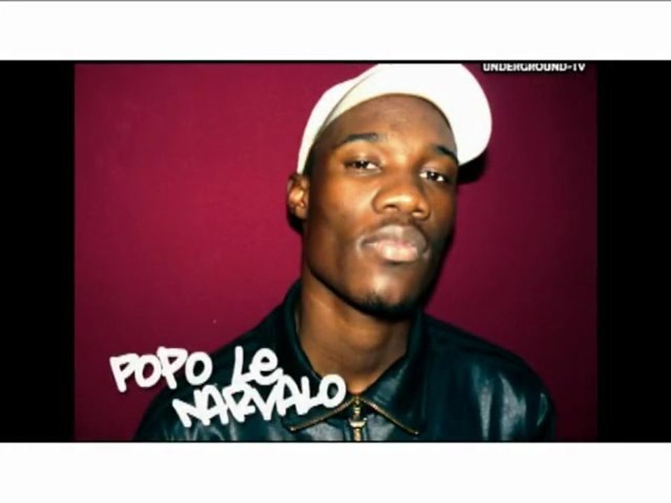 POPO LE NARVALO SUR LOURDES ARTILLERIES FM