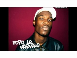 POPO LE NARVALO SUR LOURDES ARTILLERIES FM