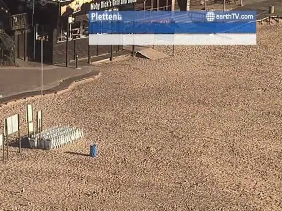 Yas Island - UAE - Abu Dhabi, Lech Zurs am Arlberg - Austria, Paris - France, Singita - South Africa, Budapest - Hungary, Plettenberg Bay - South Africa, Durban - South Africa