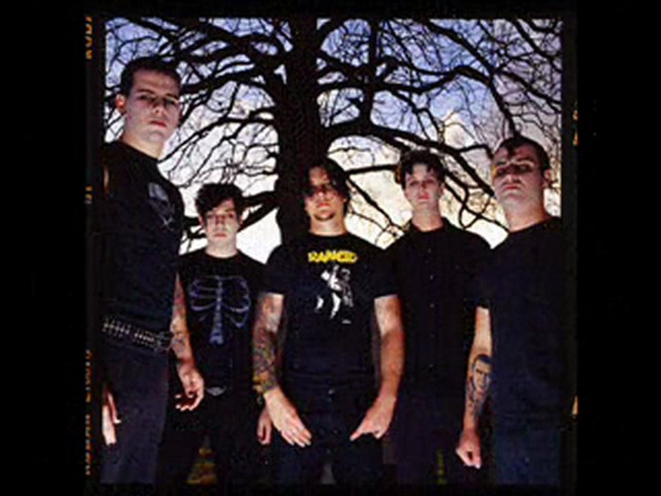 She's In Love with the Radio