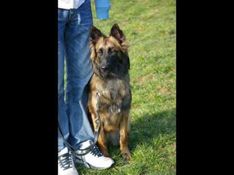 Adhérents du dimanche 7 mars 2010