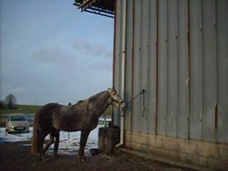 prise des pieds avec la longe
