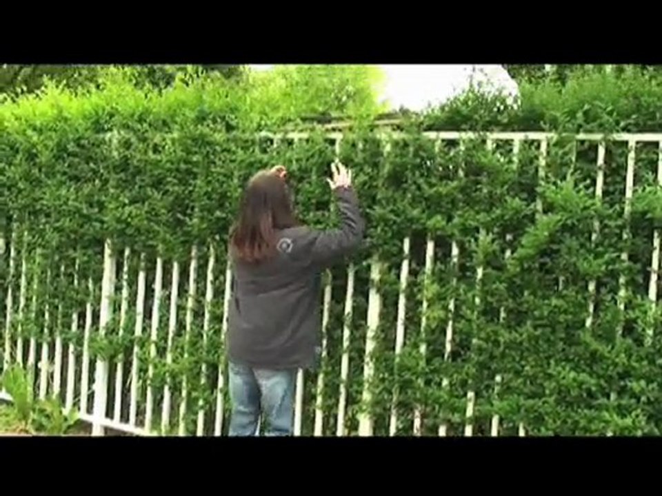 C'est Arrivé Près de Chez Moi