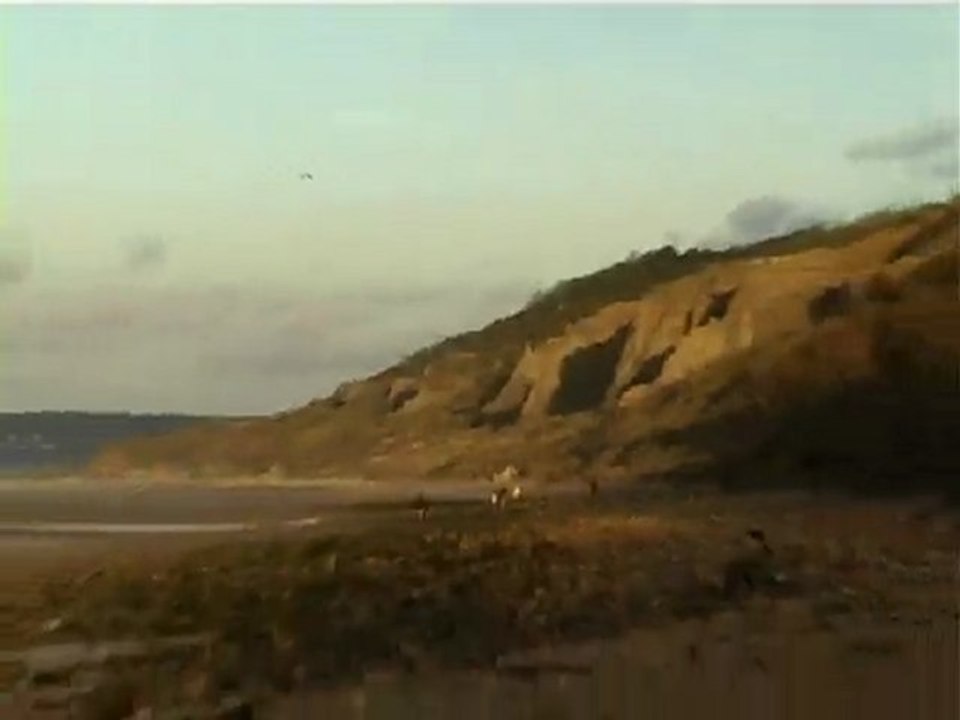 Les falaises des Vaches Noires