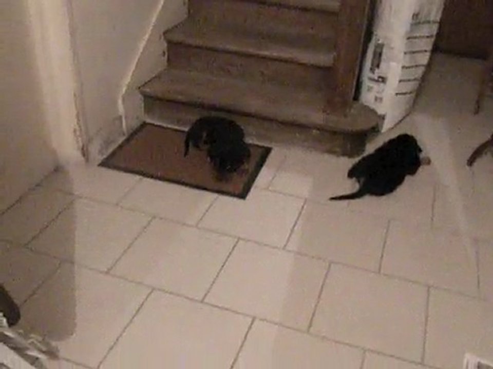 Jeux dans la maison...