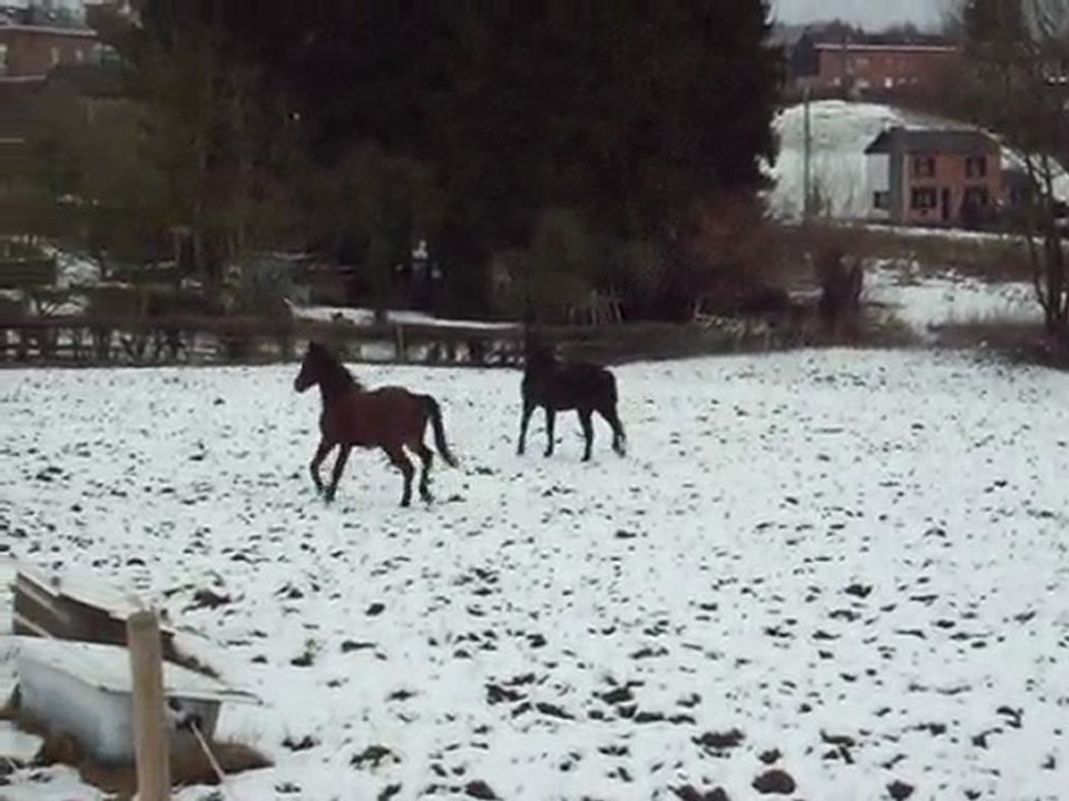 Mao; Falla et Harun ds la neige