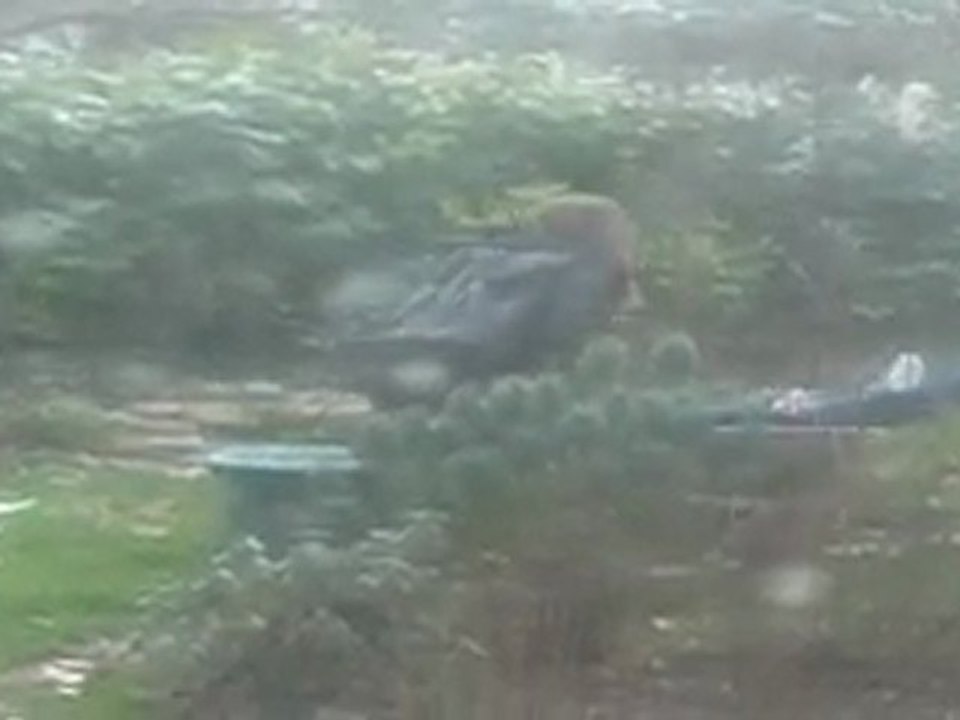 dream.... ahahaha mdr