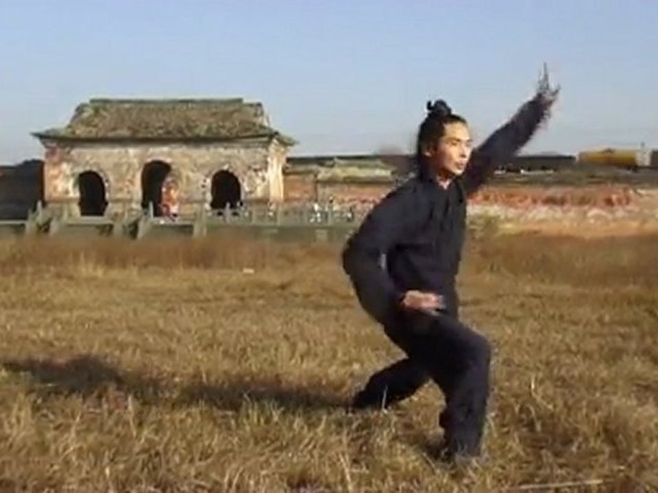 Bagua Zhang - Maître Chen Shiyu