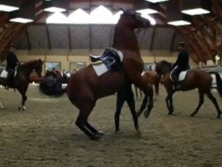 Cadre Noir - Ecole nationale d'équitation