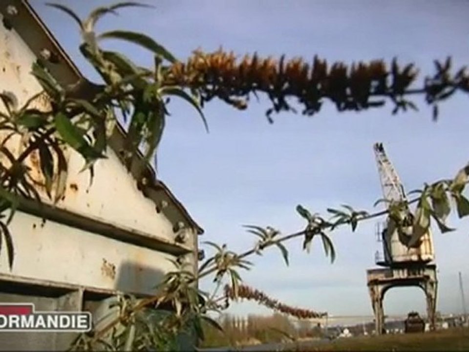 KATEL - MON VIEIL AMI dans LABEL NORMANDIE sur F3