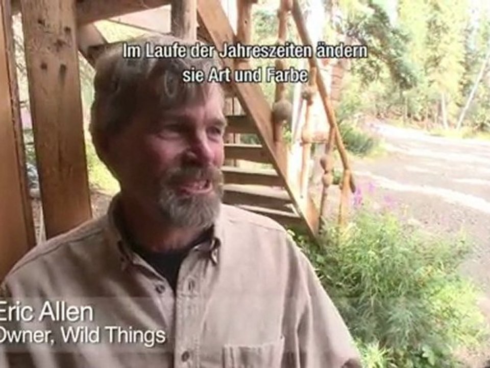 Einzigartige lokale Delikatessen in Whitehorse - Kanada