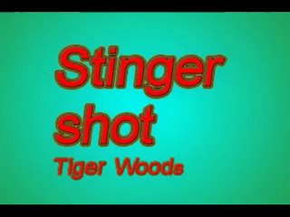 Le stinger shot de Tiger Woods Mars 2010