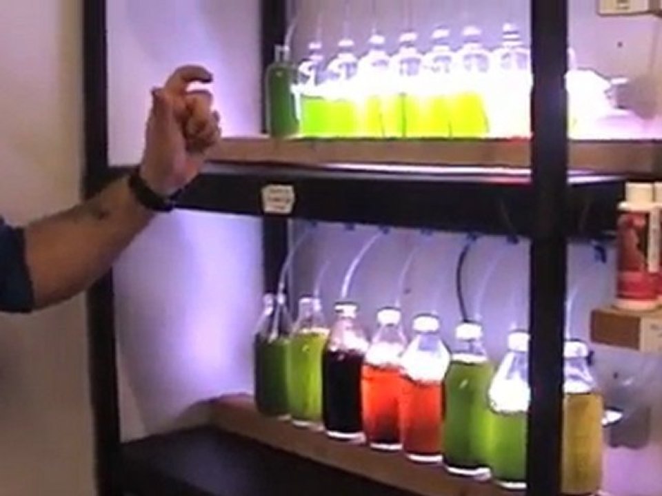 How to Culture Phytoplankton