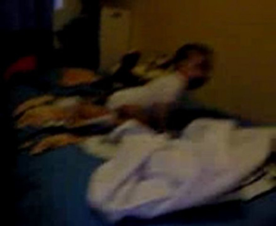 Vidéo0066