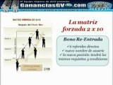 GVO Y  GANANCIAS GVO - Bonos