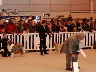 CACS Mâles 1er Groupe