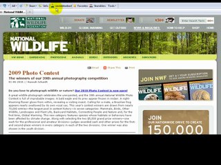 What is and how to use StumbleUpon