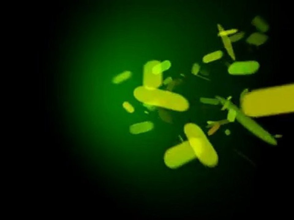 Générique festival Némo 2010 par Clément Valette