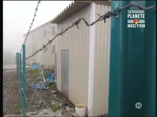 Sectes Tueuses: Les Soldats De l’Apocalypse 1/3