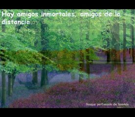 124 El Secreto - The Secret de Rhonda Byrne