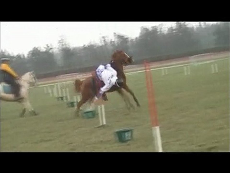 Winsord sous la neige glacée