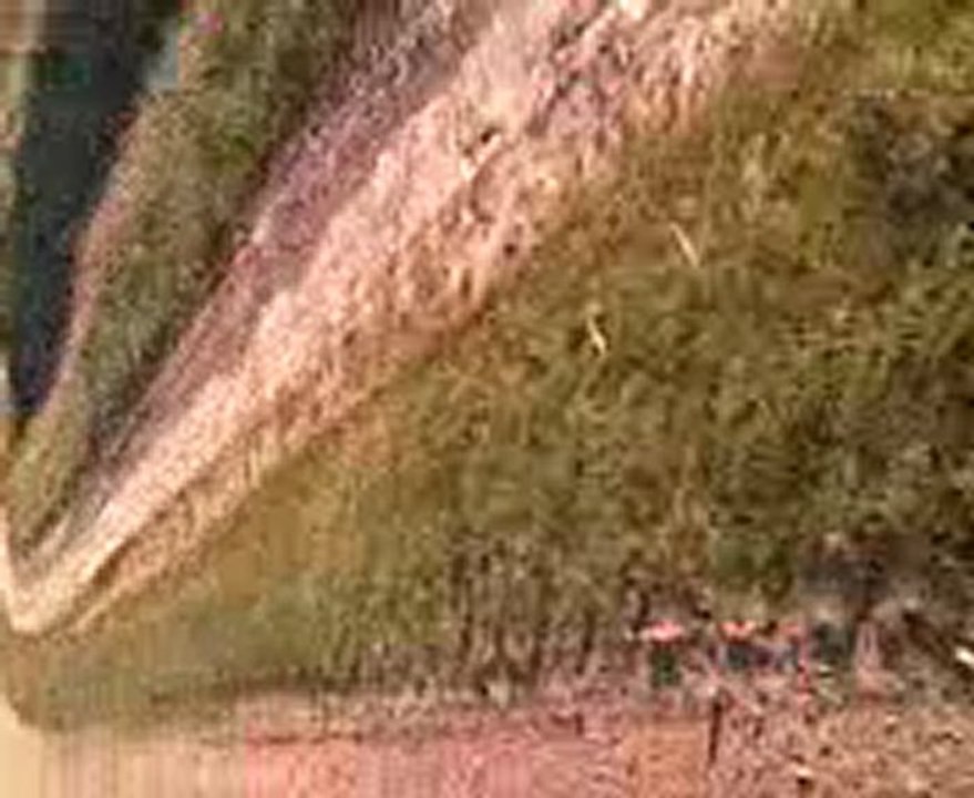 dirt bike skud 200cc ( camera embarquer )