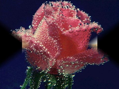 Simin MATER - Dost Yalnızlıklar.