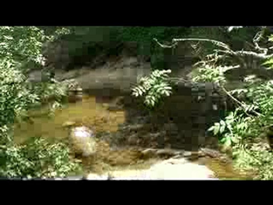 godi pour diffusion internet au bon format