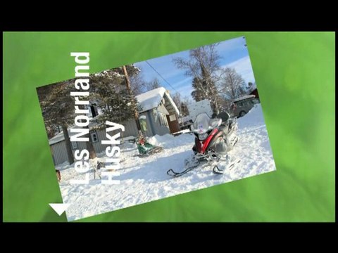 Raid en Suède à Drevdagen avec des chiens de traineau