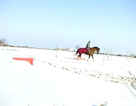 Travail sur le plat et dans la neige de Noisette