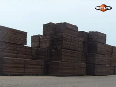 Wari - Dimanche 28 février 2010