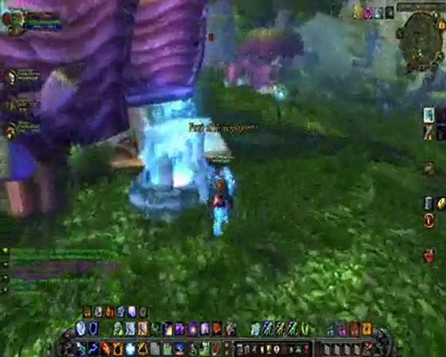 WoW chamy Ferial Serveur PvP