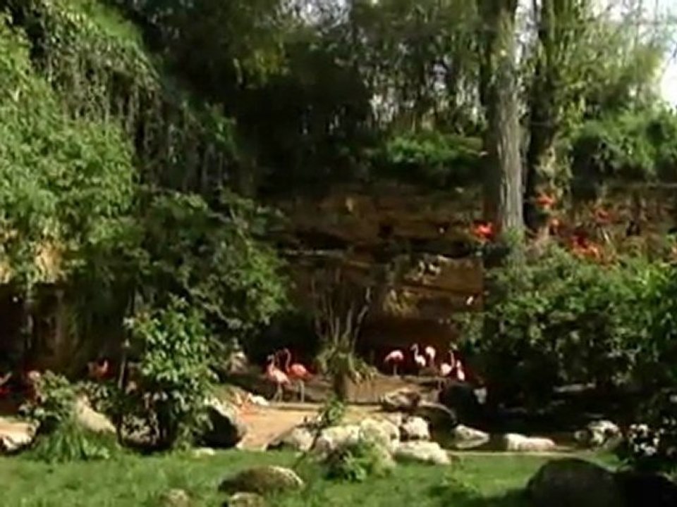 Zoo de Doué-la-Fontaine