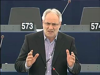 Ivo Vajgl on 2008 annual report on the CFSP