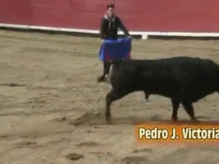Recortadores en Requena 2010