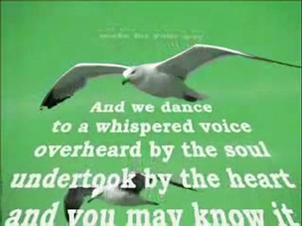 Tribute To Fly (Jonathan Livingston Seagull - Intro Teaser)