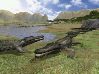 Safari Photo en Afrique