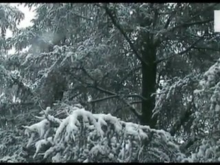 L'inverno infinito: nevicata a Torino