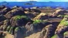- Dragon Ball Z - video