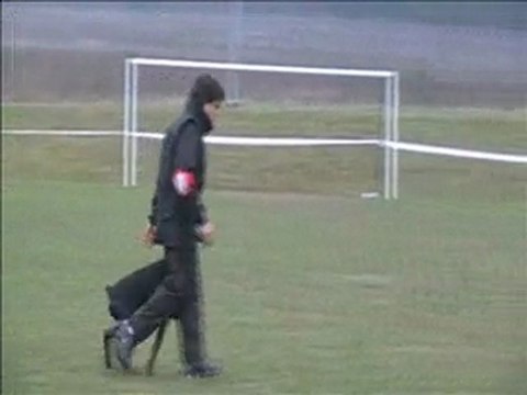 Certificat RCI DENDERAH