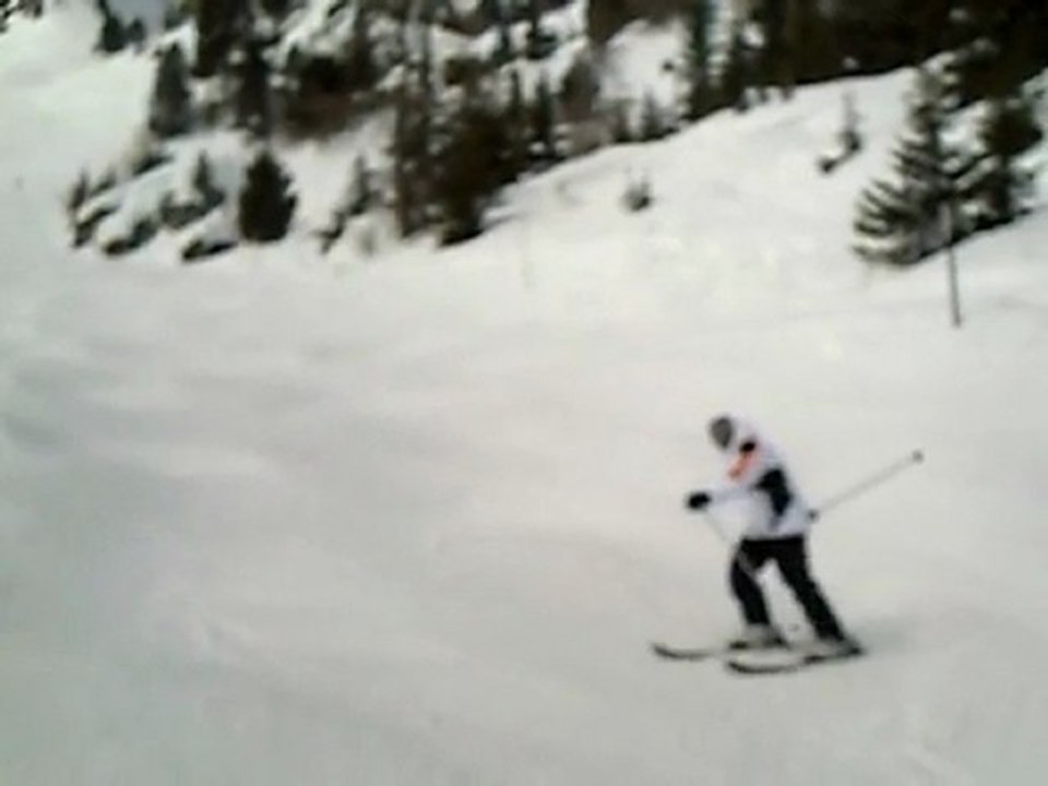 ski 2010