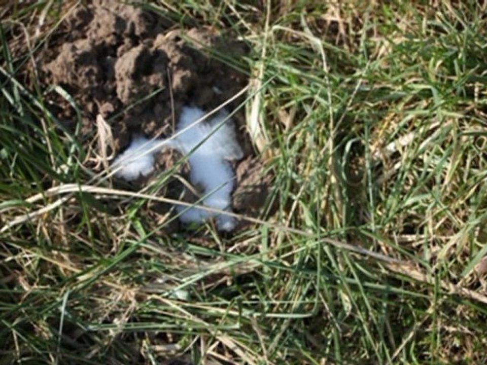 Atelier photo au Nizan